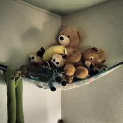 Stuffed Animals 