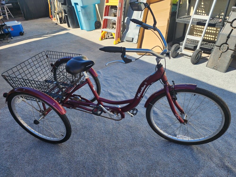 Tricycle Bike