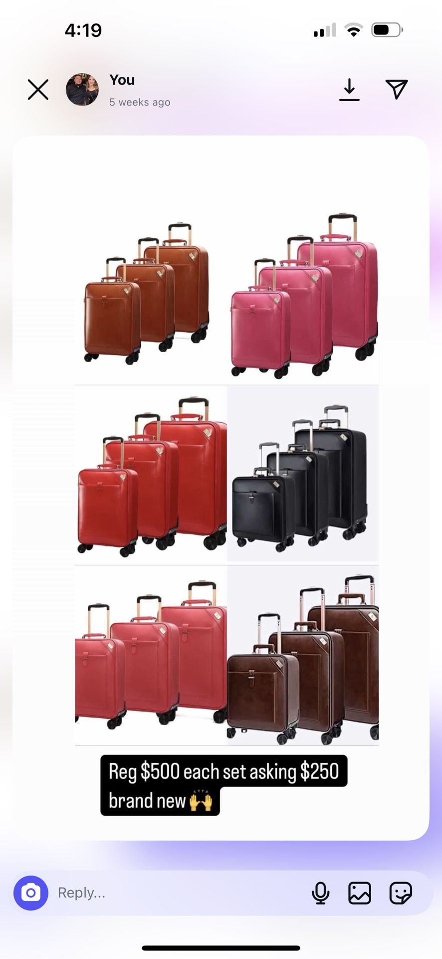 Leather Suitcases