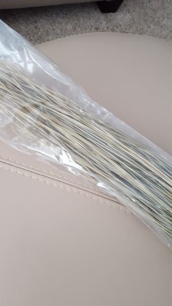Ornamental grass. New