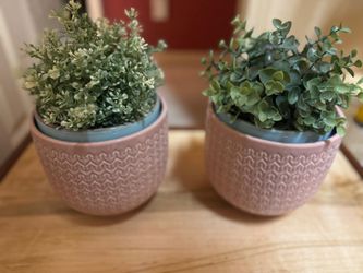 Set of 2 Faux Potted Plants in Pink Ceramic Pots