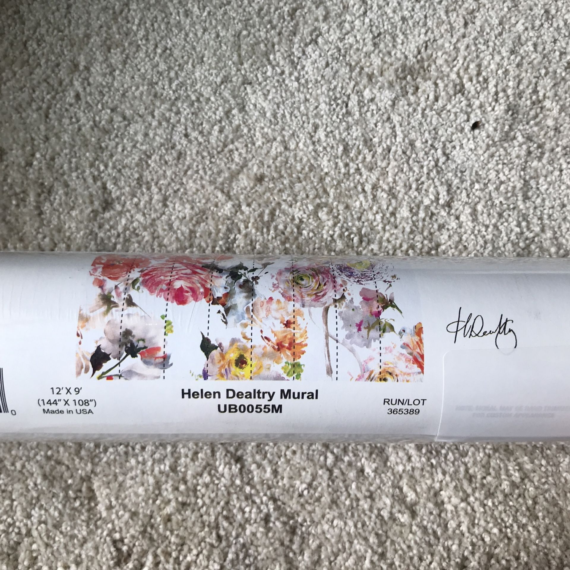 Anthropology Wallpaper Mural 