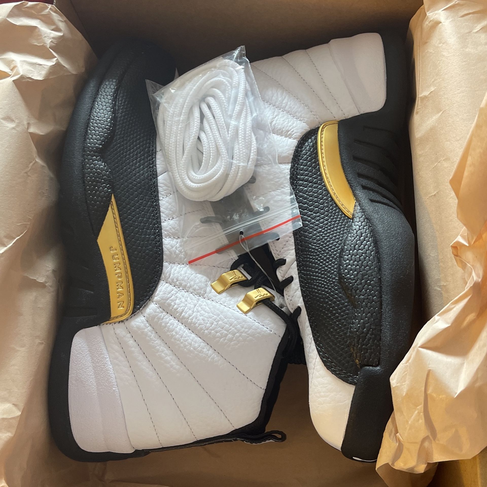 Jordan 12 New 
