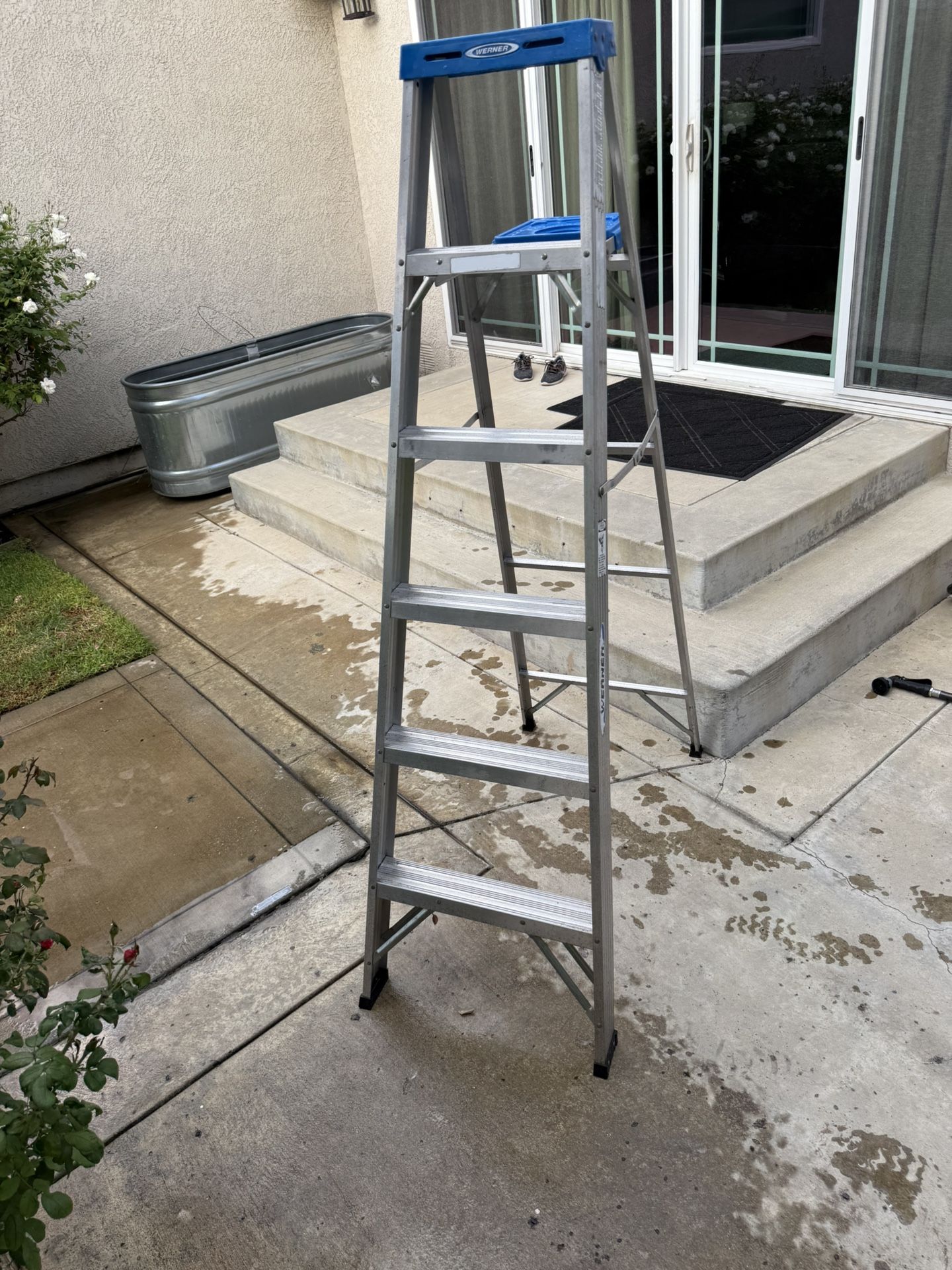 Werner Ladder