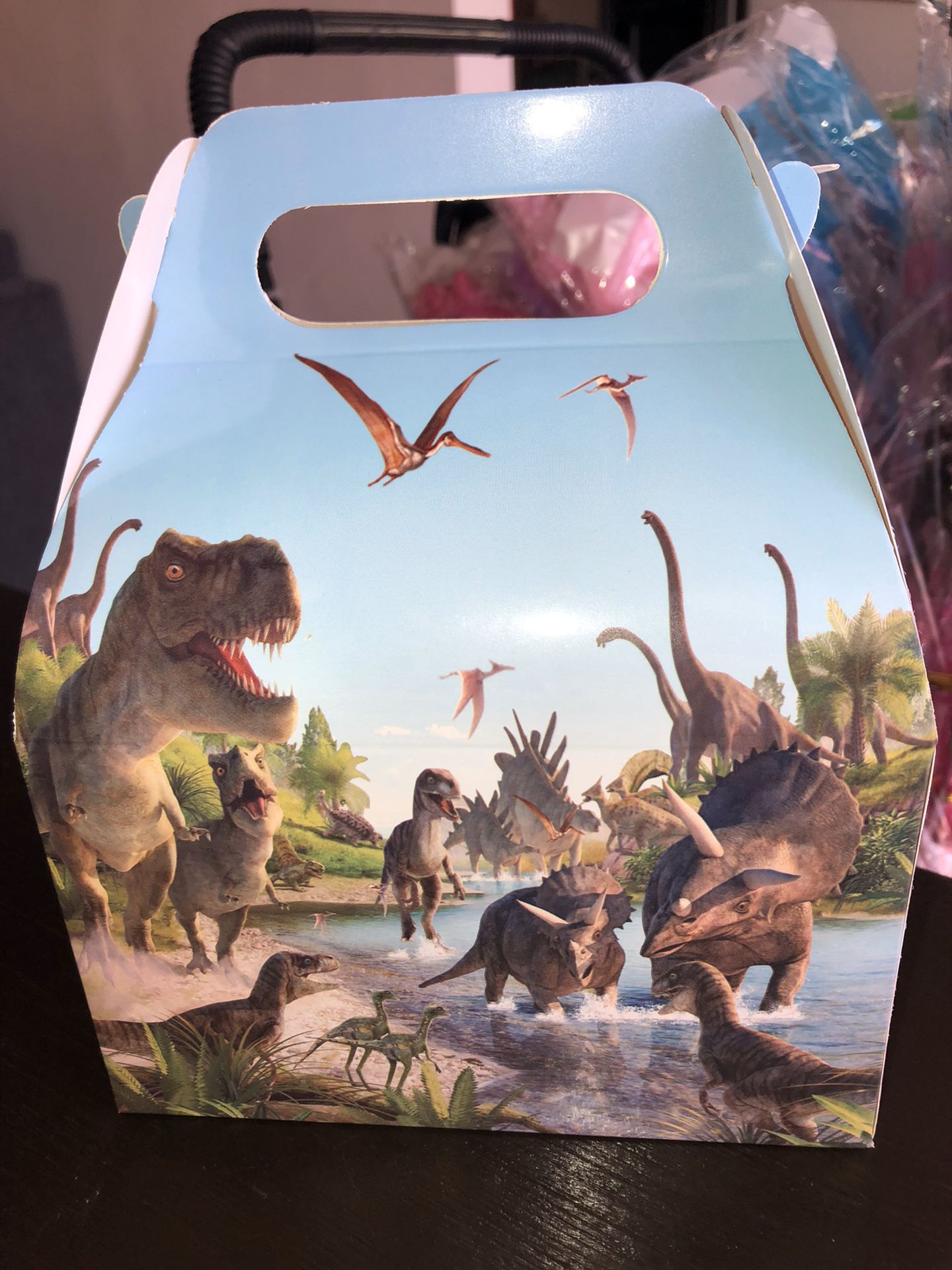 Dinosaur boxes $10 a doz