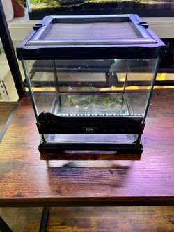 Exo Terra mini terrarium