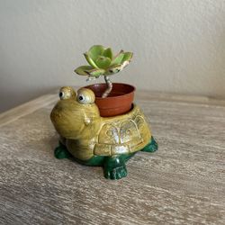 New Flower Pot Made Out Of Cement 