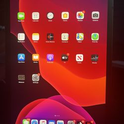 iPad Pro 11 Inch 1st Gen