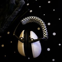 Noise Reducing Headphones 