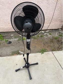 Eletrico fan