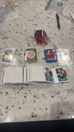 Panini stickers