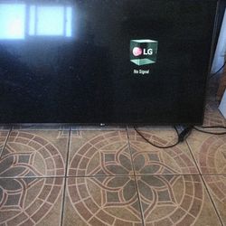 LG.  Tv. 49 Inch. HDMI  RGB. INPUTS. YOU. CAN. YOUSE WITH. ROKU. FIRE. STICK. ETC. ETC. 