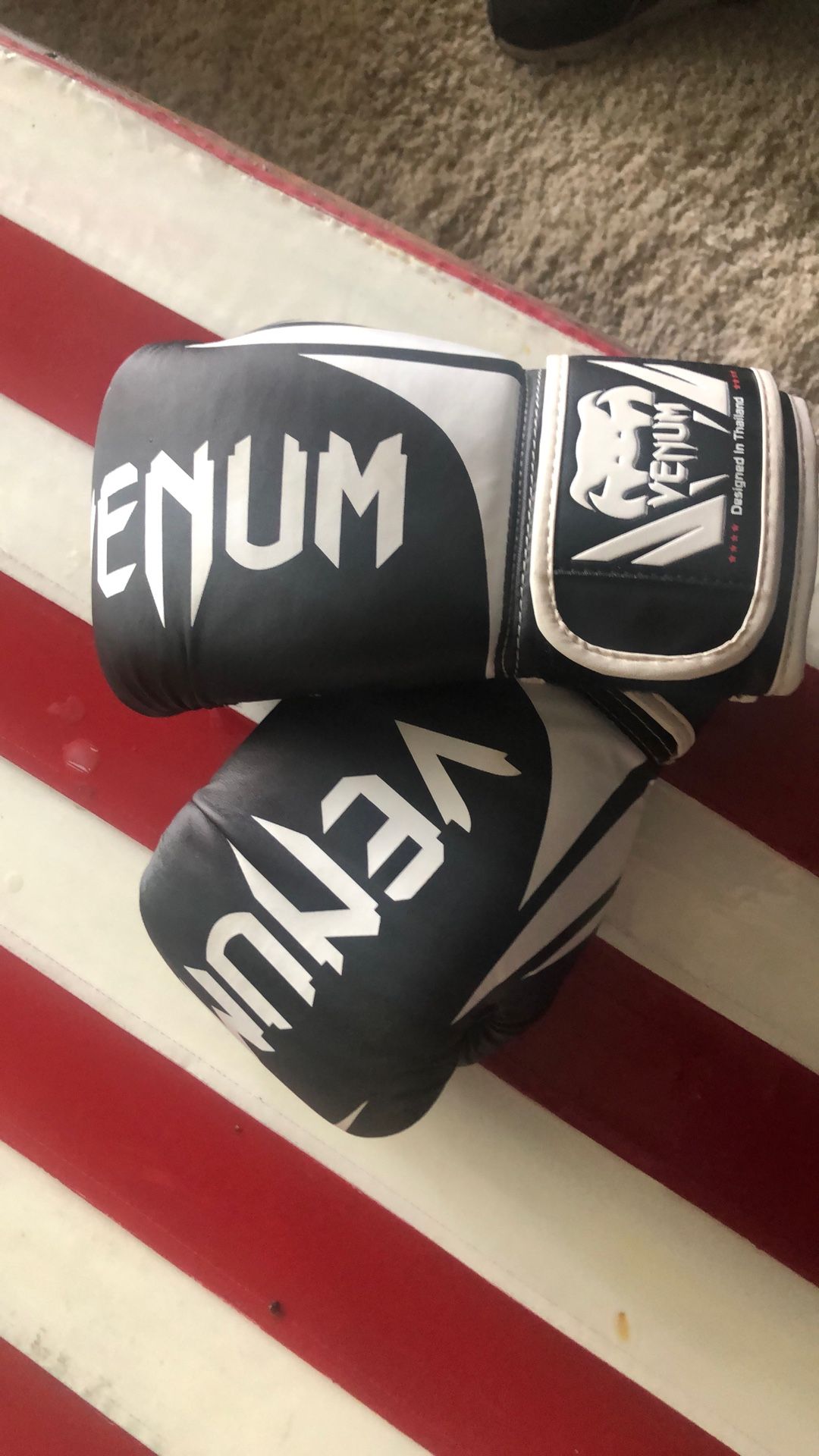 Venom Boxing Gloves