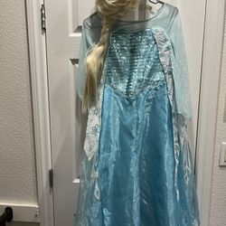Elsa Disney Princess Costume 7/8 With Wig
