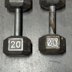20lb Dumbbells 