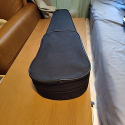 Violin Y Su Estuche 