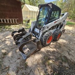 Bobcat