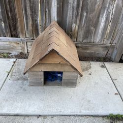 Dog House 