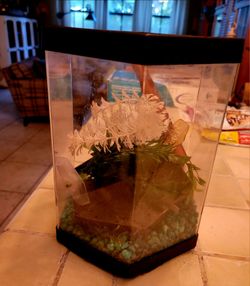 FREE - AQUARIUM SMALL