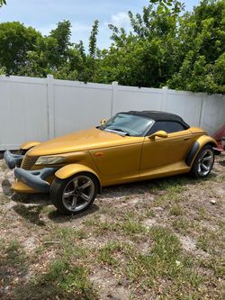 Exotic Beauty!
