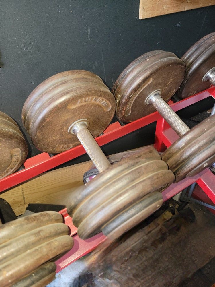 Weights Dumbbells