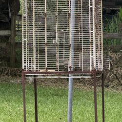Bird Cage 