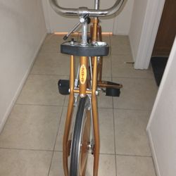 An Original 1966 Schwinn Work Out Bike 