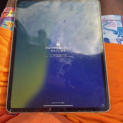 iPad Pro Max