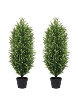 3ft Cedar topiary trees (pines 🌲)