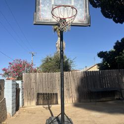 Lifetime Basketball Hoop