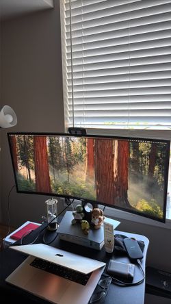 Dell Ultrawide Monitor