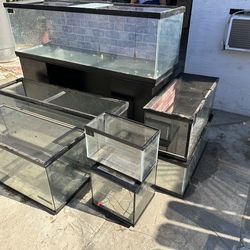 Tanks (Reptile or Fish)