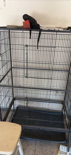 Bird Cage