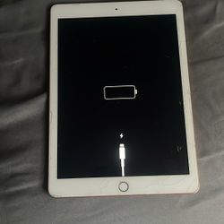 Ipad Rose Gold