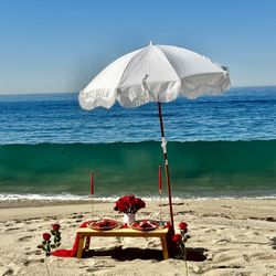 ♥️ VALENTINES DAY PICNICS ♥️