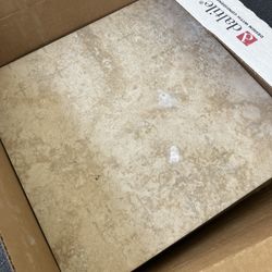 12 X 12 Porcelain Tiles, 8 + 2 12” Plates + Remnant Shower Tiles