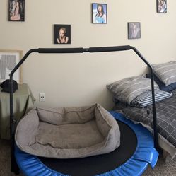 Mini Trampoline 