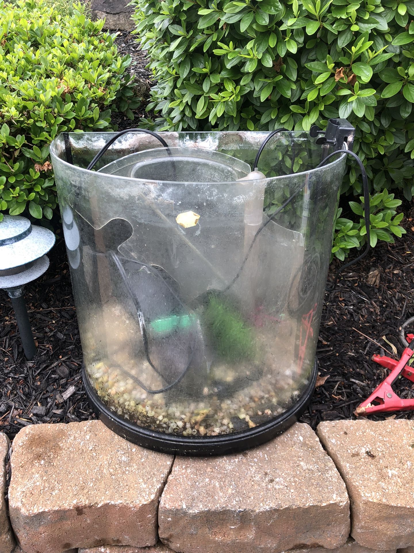 15 Gallon Bow front fish tank complete