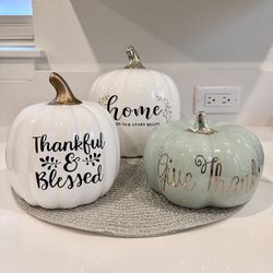 3 Decorative Pumpkins 