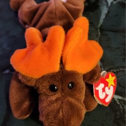 TY Beanie Baby Chocolate the Moose Beanbag Plush 1993