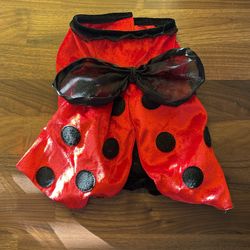 Dog Ladybug Costume 