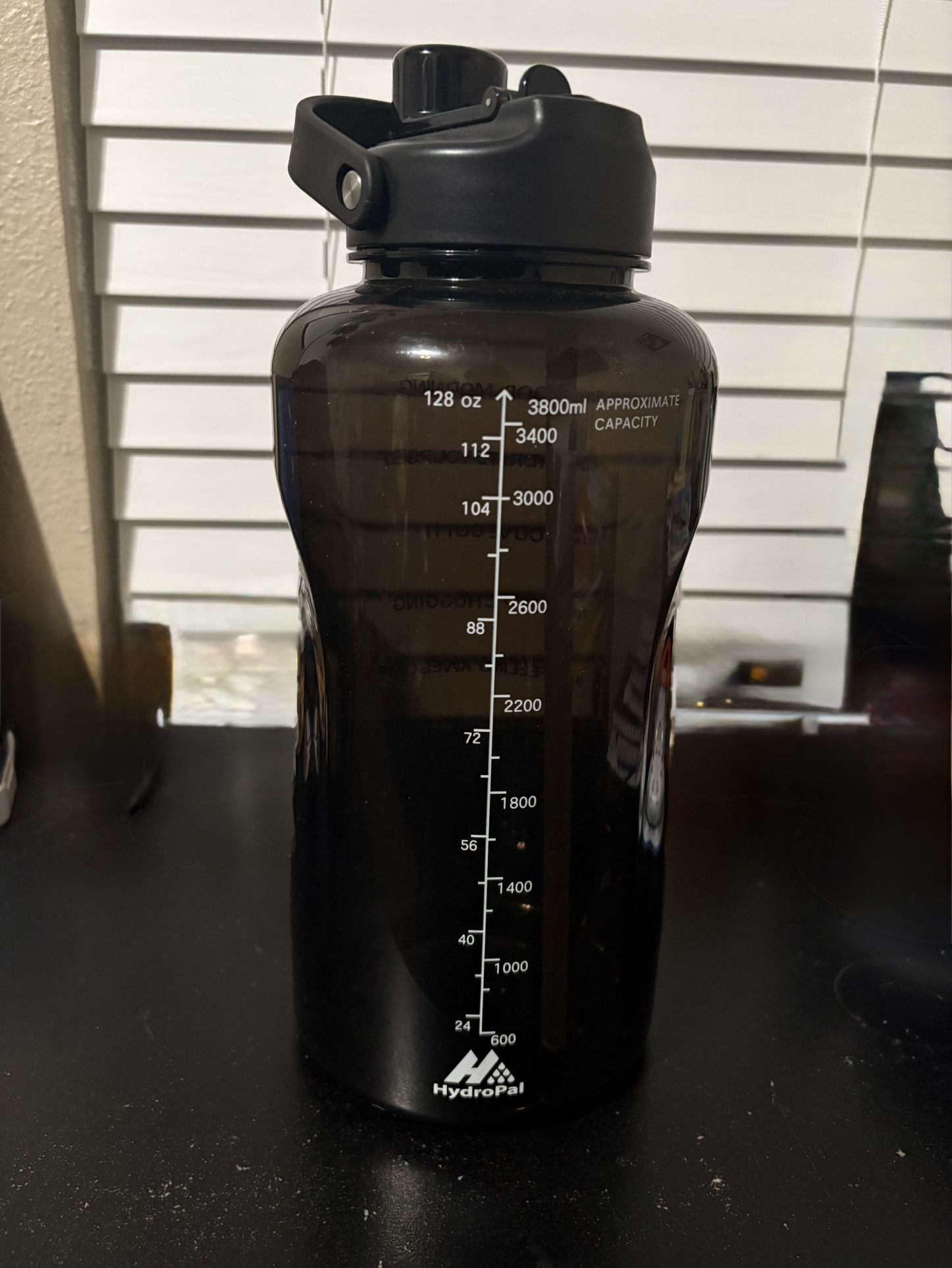 Hydropal water jug