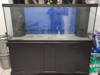 Fish Tank