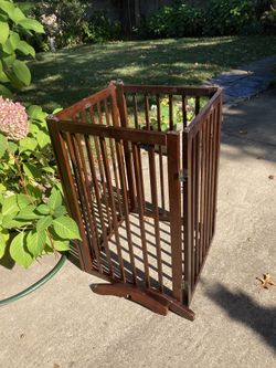 Woodgate keep yourself safe or puppy