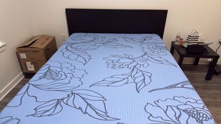 bed frame with new queen mattress