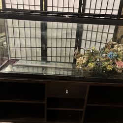 Fish tank 55 gallon setup