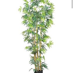 6ft Decorative Tropical Tree with Basket
