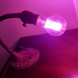 Early electric vintage industrial office desk lamp, cast iron metal gooseneck work / task light

