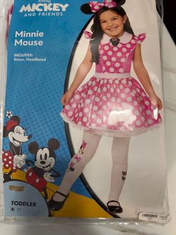 Minnie Mouse Costume