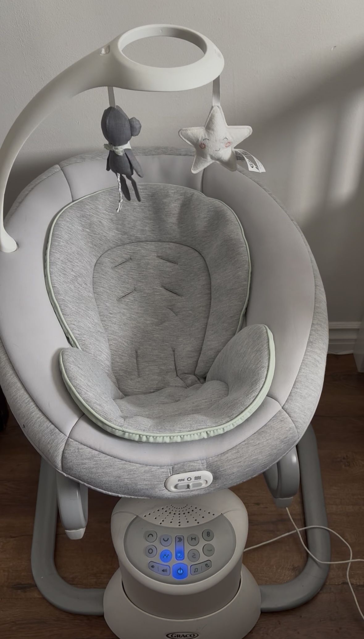 Graco Rocker And Swing